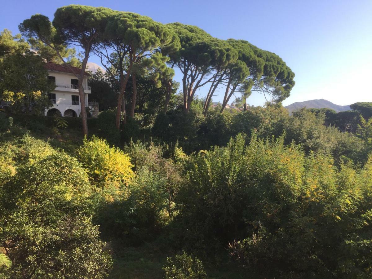 Villa Monte Boutique Apartments In Herceg Novi Exterior photo